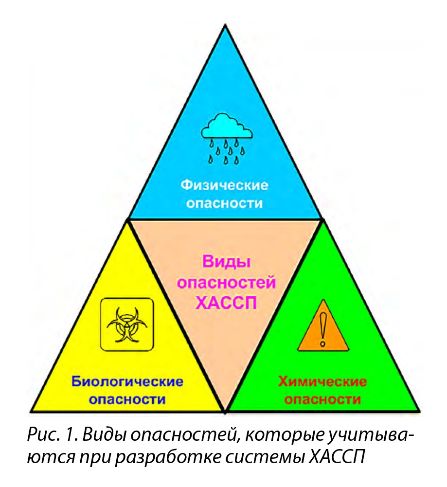 Перечислить опасности представляющие для человека. Виды опасностей ХАССП. Виды биологических опасностей. Биологические риски ХАССП. Биологическая опасность ХАССП.