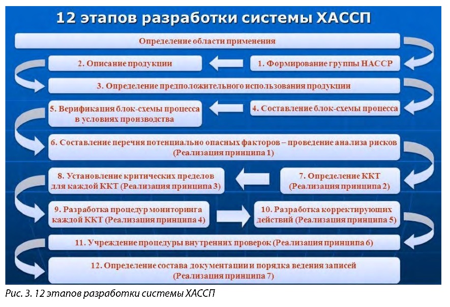 Необходимые условия для ведения. Документация по ХАССП. Этапы внедрения системы. Разработка системы ХАССП. Этапы разработки и внедрения HACCP на предприятии..